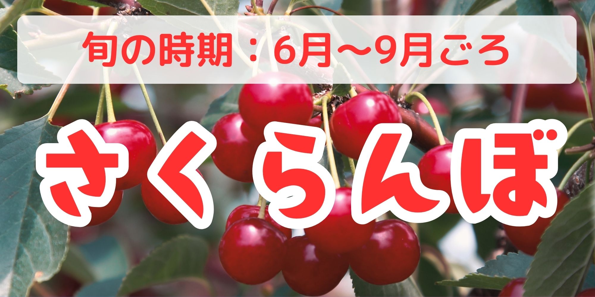 さくらんぼ